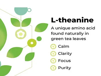 How Does Pure L-Theanine Powder Enhance Cognitive Function?