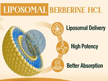What Should You Look for in Liposomal Berberine Powder?
