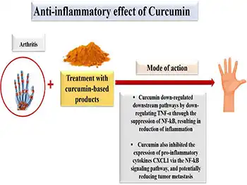 Is Liposomal Curcumin Powder Better for Anti-Inflammation?