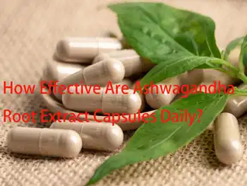 How Effective Are Ashwagandha Root Extract Capsules Daily?