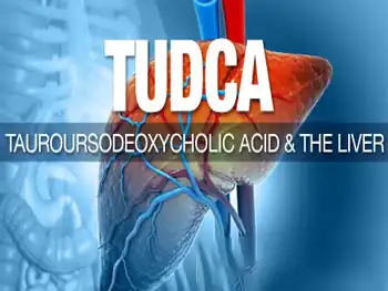 Buy TUDCA Bulk Powder: Key Supplier Considerations