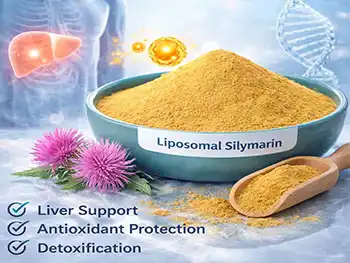 What Are the Benefits of Liposomal Silymarin Powder?