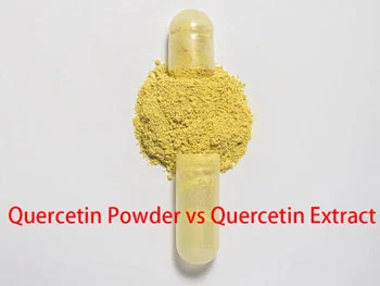 Quercetin Powder vs Quercetin Extract — What’s the Difference?