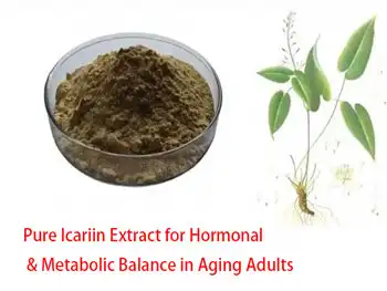 Pure Icariin Extract for Hormonal & Metabolic Balance in Aging Adults