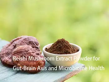 Reishi Mushroom Extract Powder for Gut-Brain Axis and Microbiome Health