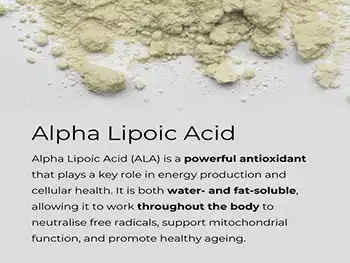 What Makes Alpha Lipoic Acid Powder a Universal Antioxidant?