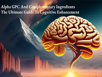 Top Uses of Glycerophosphorylcholine Powder in Cognitive Supplement Manufacturing