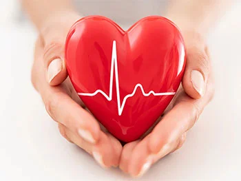 What Makes Coenzyme Q10 Pure Powder Essential for Heart Health?