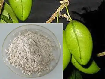 Why Use Griffonia Bean Extract for Balanced Serotonin Levels?