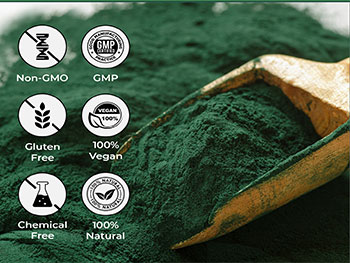 Why can Organic Spirulina Powder replenish blood?