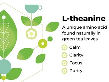 What Makes Pure L-Theanine Powder Effective for Anxiety?