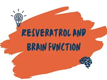 Can Liposomal Resveratrol Powder Boost Cognitive Function?