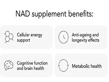 What Are the Top Benefits of Liposomal NAD+ Powder?