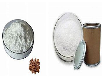 How Does Bulk Synephrine Powder Compare to Ephedra in Fat Burning?