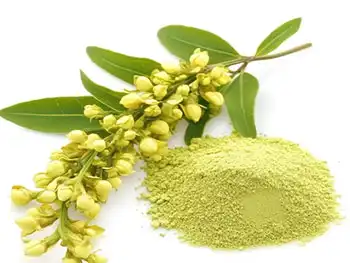 What are the latest advancements in Rutin Extract applications？