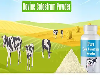 What are the main nutritional characteristics of Bovine Colostrum Powder？