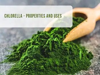 Organic Chlorella Powder Effects on Cholesterol and Cardiovascular Health