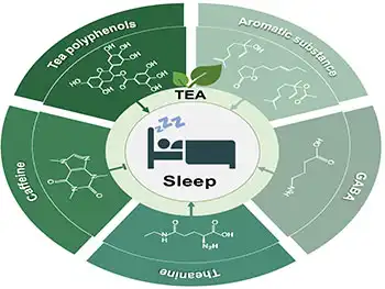 Impact of Green Tea Extract L-theanine on Sleep Quality and Insomnia Relief