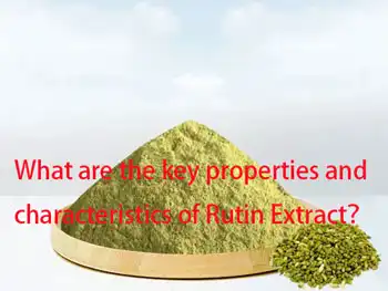 What are the key properties and characteristics of Rutin Extract？