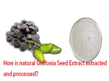 How is natural Griffonia Seed Extract extracted and processed？