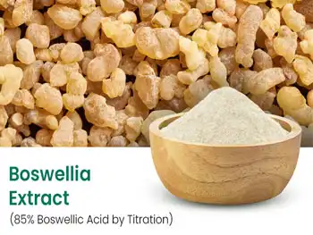 How is Boswellia Serrata Extract Powder produced and standardized？