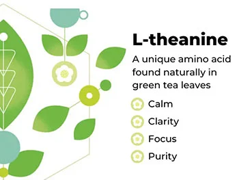 What are the health benefits of Green Tea Extract L-theanine consumption？