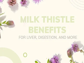 Anti-Oxidant & Anti-Inflammatory Properties of Milk Thistle Extract Powder
