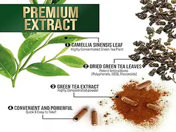 How are Green Tea Extract Polyphenols extracted and standardized？