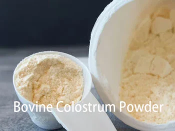 What is the current development trend of Bovine Colostrum Powder industry？