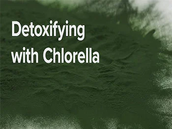 How does Organic Chlorella Powder contribute to detoxification and immunity？