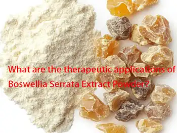 What are the therapeutic applications of Boswellia Serrata Extract Powder？