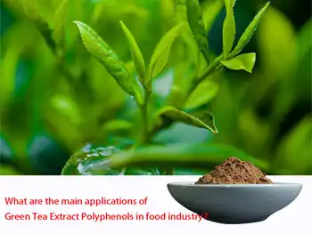 What are the main applications of Green Tea Extract Polyphenols in food industry？