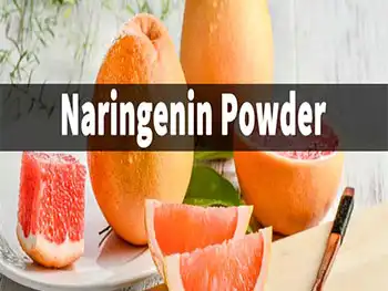 Which Naringenin Powder Grade Fits Your Application?