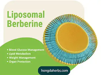 Why Choose Liposomal Berberine Powder for Supplement Brands?