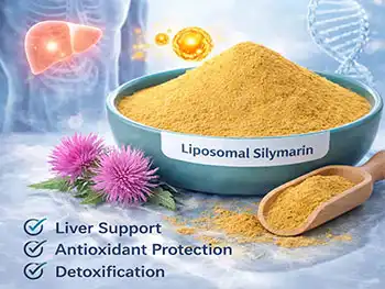 What Quality Tests Ensure Safe Liposomal Silymarin Powder?