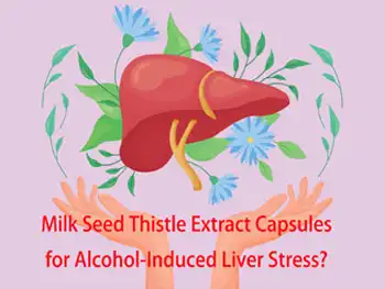 Milk Seed Thistle Extract Capsules for Alcohol-Induced Liver Stress?