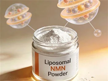 Why Should B2B Buyers Choose Reliable Liposomal NMN Powder Suppliers?