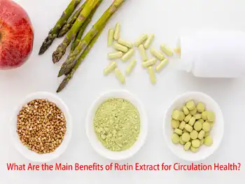 What Are the Main Benefits of Rutin Extract for Circulation Health?
