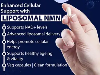 How Does Liposomal NMN Powder Enhance Overall Energy Levels?