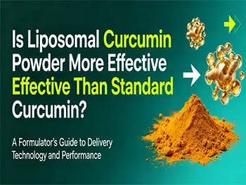 Is Liposomal Curcumin Powder More Effective Than Standard Curcumin?