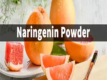 What Is Naringenin Powder? Benefits, Uses, and Buying Guide