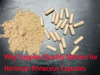 Why Supplier Quality Matters for Hericium Erinaceus Capsules