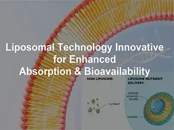 How Is Liposomal Iron Powder Manufactured for High Stability?
