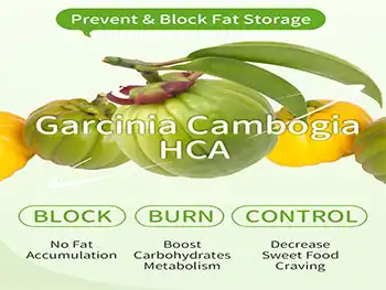 How Does Garcinia Cambogia Extract Powder Promote Healthy Carbohydrate Metabolism?