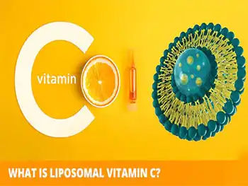 Why Is Liposomal Vitamin C Powder Bulk Popular in Nutraceuticals?