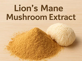 Can Lion's Mane Mushroom Extract Powder be taken directly?