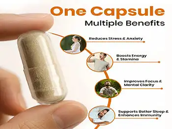 What Makes Ashwagandha Root Extract Capsules So Powerful?