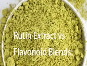 Rutin Extract vs Flavonoid Blends: Which Supports Vein Health Better?