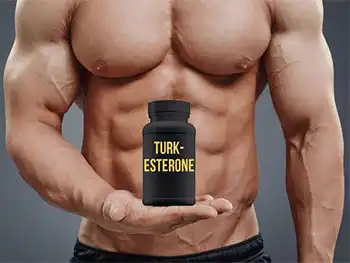 Turkesterone Capsules Supplier Guide for Private Label Projects