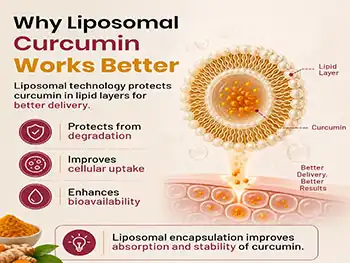 What Should You Look for in Liposomal Curcumin Powder?